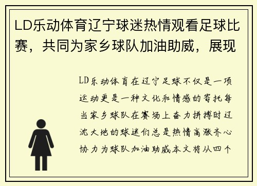 LD乐动体育辽宁球迷热情观看足球比赛，共同为家乡球队加油助威，展现团结精神
